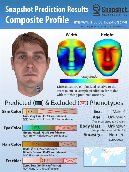 Sample Snapshot Composite